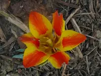 k-P1080676.webp
