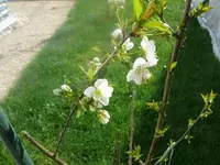 k-P1080680.webp