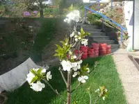 k-P1080681.webp