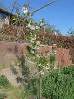 k-P1080698.webp