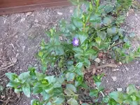 k-P1080713.webp