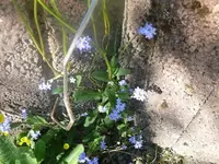 k-P1080723.webp