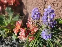 k-P1080726.webp