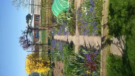 IMG-20150419-WA0006.webp