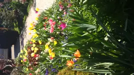 IMG-20150419-WA0012.webp