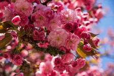 IMG_6328.webp