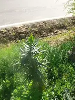 k-P1080701.webp