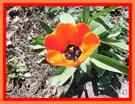 060.webp
