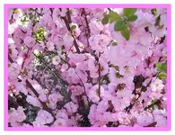 090.webp