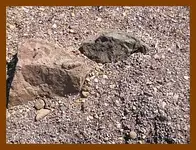 068.webp