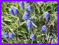 051.webp