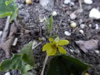 P1330221.webp