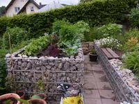 RIMG0075.webp