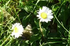 P1050820.webp