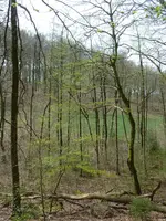 P1050856.webp