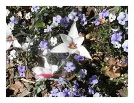 008.webp
