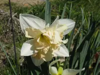 005_1024x768.webp
