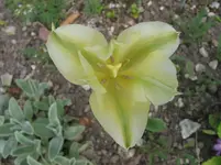 019.webp