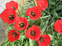 022.webp