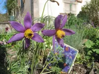 008.webp