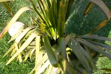 SAM_0541.webp