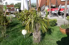 SAM_0542.webp