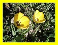 062.webp