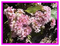 043.webp