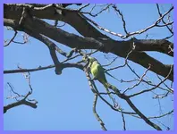 030.webp