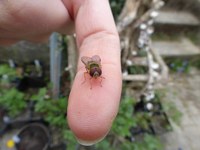 P1330420.webp