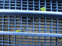 IMG_8771v.webp