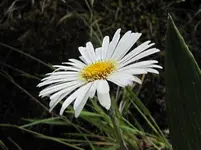 IMG_2109v.webp