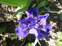 P1330826.webp