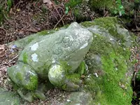 3. Garden (114)v.webp