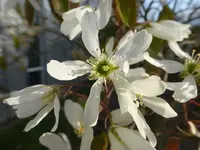 P1320545.webp