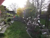 003.webp