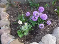 002.webp