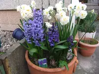 010.webp