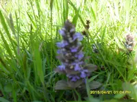 SDC10218.webp