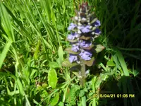 SDC10219.webp