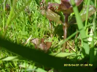 SDC10222.webp