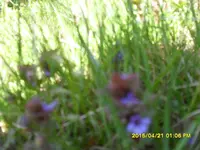 SDC10223.webp