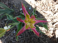 P1330834.webp