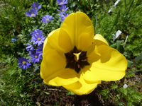 P1330814.webp