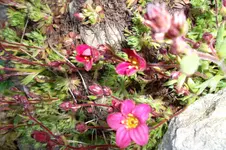 SAM_0563.webp