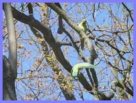 033.webp
