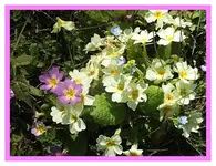 076.webp