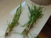 P1040460.webp P1040460.webp