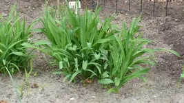 P1090200.webp