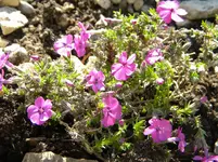 DSCN7606.webp